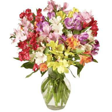BloomsyBox