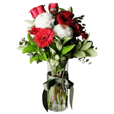 Mr Roses