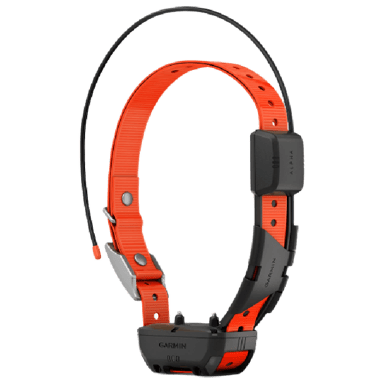 Garmin Alpha TT 25