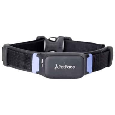 PetPace 2.0