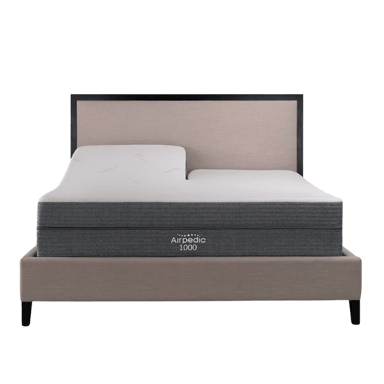 Airpedic 1000