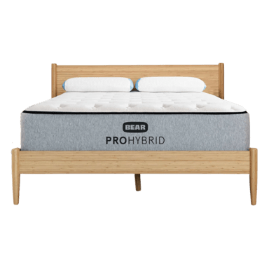 Bear Pro Hybrid