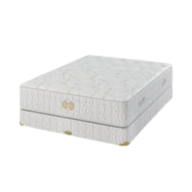 Shifman Heritage Grand