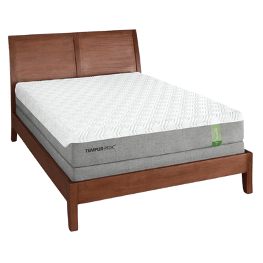 Tempur-Pedic Flex
