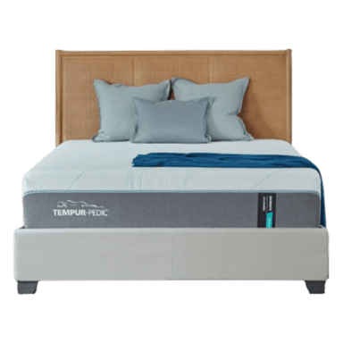 Tempur-Pedic Supreme