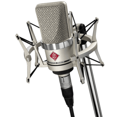 Neumann TLM 102