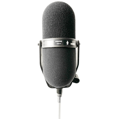 Shure SM5B