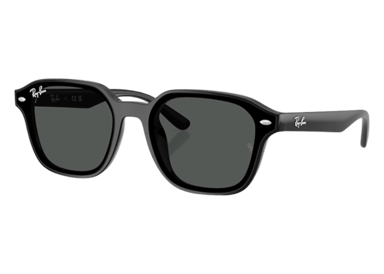 Ray-Ban RB4458D