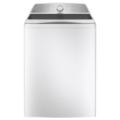 GE PTW600BSRWS