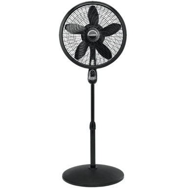 Lasko 1843
