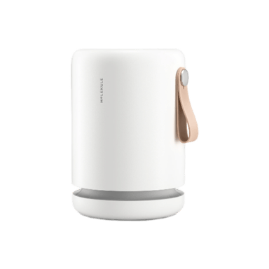 Molekule Air Mini+