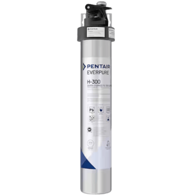 Pentair H-300