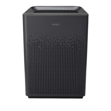 Winix AM80 