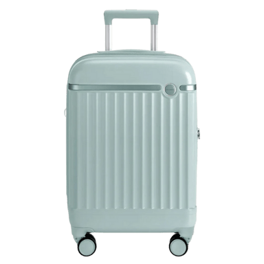 BAGSMART Roamer