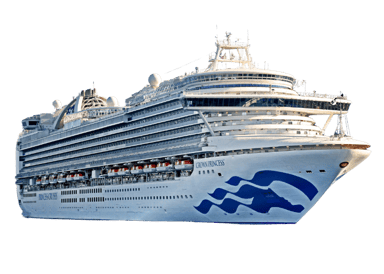 Crown Princess