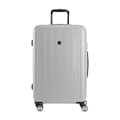 SwissGear Wanderlust Pro