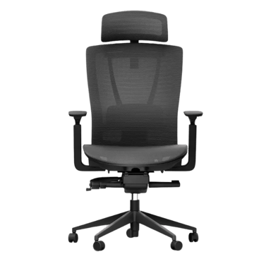 Autonomous ErgoChair Mesh