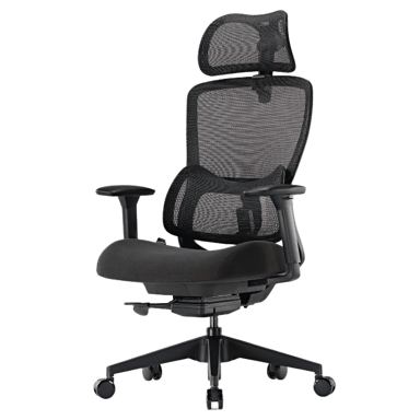 Eureka Ergonomic Lark 