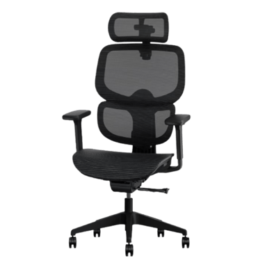 FlexiSpot C7