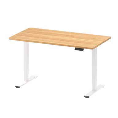 FlexiSpot E5
