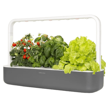 Click & Grow Smart Garden 9