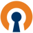 OpenVPN
