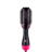 Pursonic One Step Dryer Brush