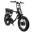 Ariel Rider D Class