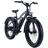 Rad Power RadRover 5