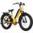 NIU BQi Fat Tire 300 (Step‐through)