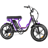 Addmotor Soletan M-66X