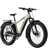 Aventon Aventure 3 Step-Over