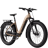 Aventon Aventure 3 Step-Through