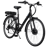 Basis  Hybrid