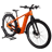 Bergamont E-Revox Sport Rigid