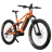 CYKE Falcon S