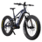 CYKE Falcon X