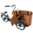 Dirwin Caravan