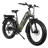 Dirwin Pioneer Plus
