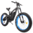 Ecotric Bison