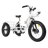 Ecotric Electric Tricycle