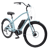 Electra Townie Go!