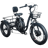 Emojo Caddy Pro