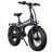 EMotorad Doodle Pro