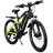 EMotorad EMX