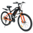 EMotorad EMX+