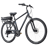 Fuji E-Crosstown