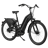 Giant Delivery E+