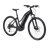 Giant Roam E+ STA