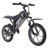 GOTRAX Fitz16